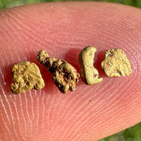 California Gold Nuggets in Display Case - 0.15 grams - Picture 2 of 3